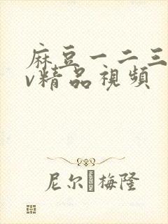 麻豆一二三区av精品视频