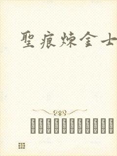 圣痕炼金士动漫