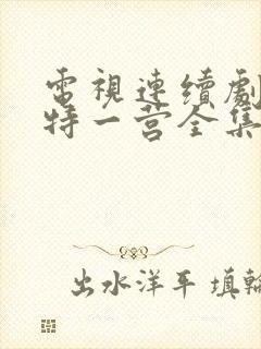 电视连续剧我的特一营全集完整版