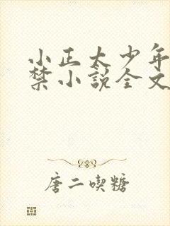 小正太少年被囚禁小说全文阅读