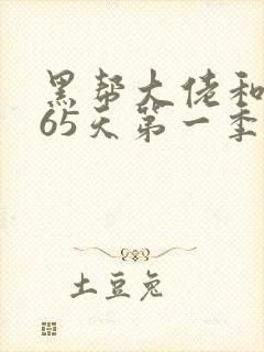 黑帮大佬和我365天第一季封面