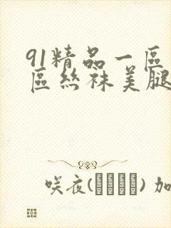 91精品一区二区丝袜美腿
