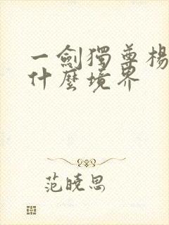 一剑独尊杨叶是什么境界