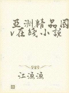亚洲精品国产av在线小说