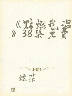 《点燃我温暖你》38集免费观看封面