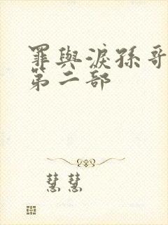 罪与泪孙哥金娜第二部