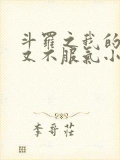 斗罗之我的系统又不服气小说