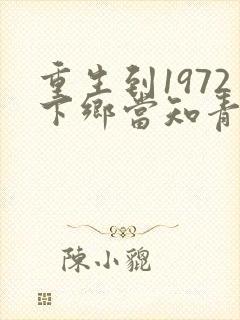 重生到1972下乡当知青的小说封面