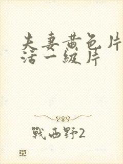 夫妻黄色片性生活一级片