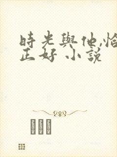 时光与他,恰是正好 小说