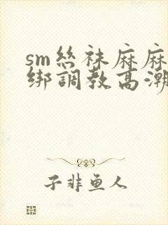 sm丝袜麻麻捆绑调教高潮