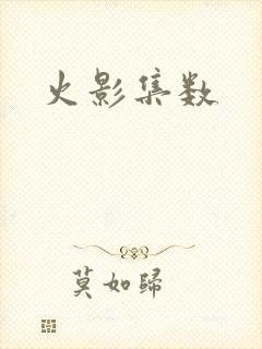 火影集数