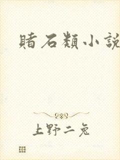 赌石类小说