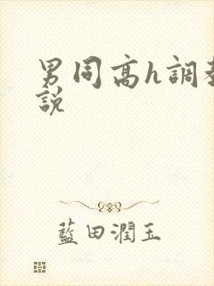 男同高h调教小说