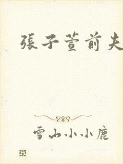 张子萱前夫是谁