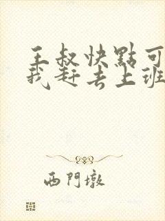 王叔快点可以吗我赶去上班