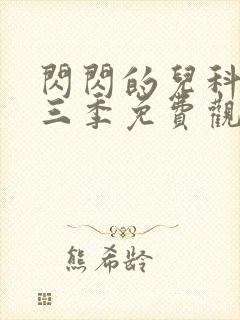 闪闪的儿科医生三季免费观看