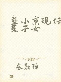 龚小京现任丈夫及子女封面