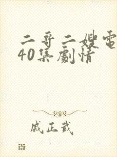 二哥二嫂电视剧40集剧情