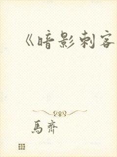 《暗影刺客》