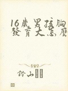 16岁男孩胸部发育大怎么办封面