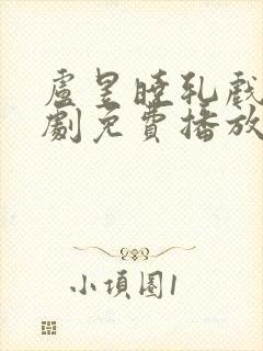 卢昱晓轧戏电视剧免费播放完整版封面