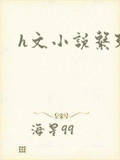 h文小说系列