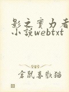 影之实力者原著小说webtxt封面