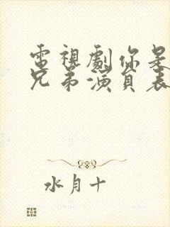 电视剧你是我的兄弟演员表