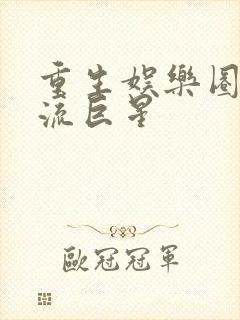 重生娱乐圈之顶流巨星