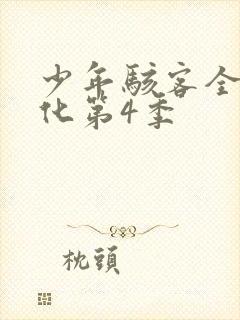少年骇客全面进化第4季