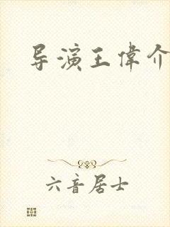 导演王伟介绍