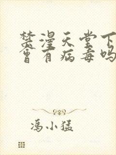 禁漫天堂下载后会有病毒吗