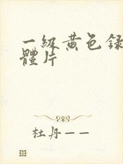 一级黄色录像裸体片