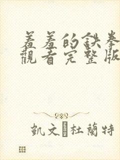 羞羞的铁拳在线观看完整版