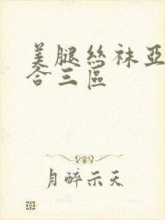 美腿丝袜亚洲综合三区