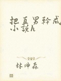 把直男干成骚0小说h封面