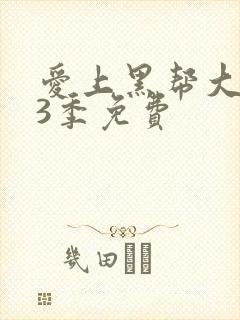 爱上黑帮大佬第3季免费