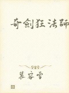 奇剑狂法师封面