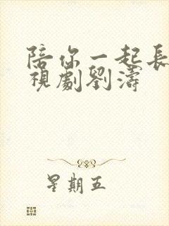 陪你一起长大电视剧刘涛封面