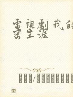 电视剧 我的绝密生涯封面
