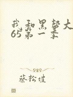 我和黑帮大佬365第一季
