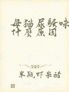 母猫尿骚味大是什么原因