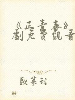 《正青春》电视剧免费观看全集完整封面