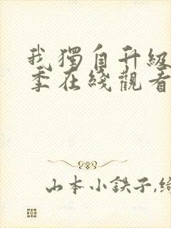 我独自升级第二季在线观看免费版樱花动漫