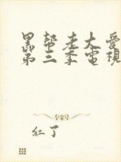 黑帮老大爱上我第三季电视剧免费观看