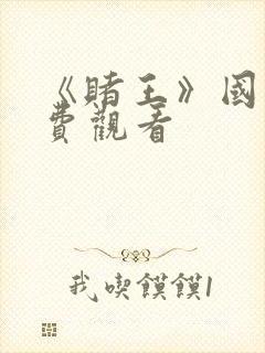 《赌王》国语免费观看