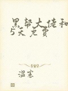 黑帮大佬和365天免费