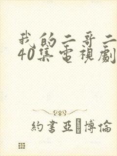我的二哥二嫂第40集电视剧