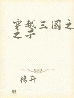 穿越三国之袁绍之子封面